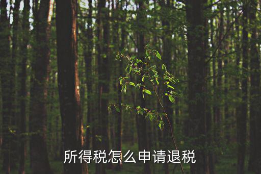 所得稅退稅，個人所得稅退稅