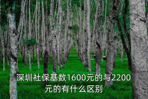 深圳社保基數1600元的與2200元的有什么區別