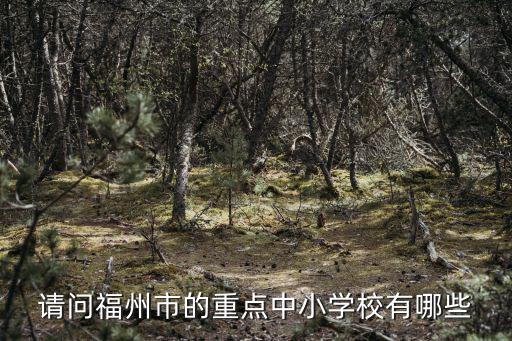請問福州市的重點中小學校有哪些