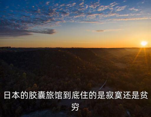 日本的膠囊旅館到底住的是寂寞還是貧窮