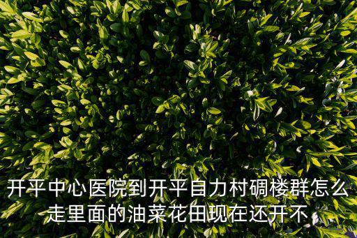 自力村，溫州哪里有個自力村