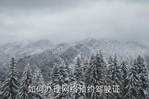 如何辦理網(wǎng)絡預約駕駛證