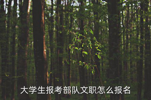 文職人員報名，2021年軍隊文職人員考試報名入口再哪里