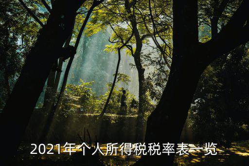 個人稅率表，2021年個人所得稅稅率表一覽