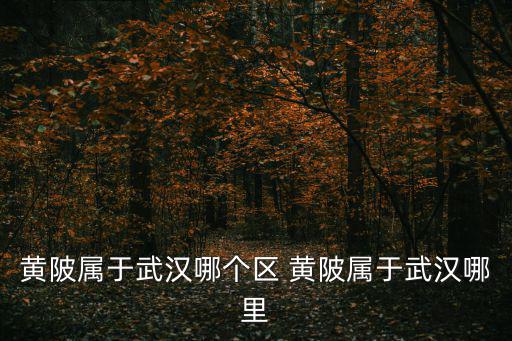 黃陂屬于武漢哪個區 黃陂屬于武漢哪里