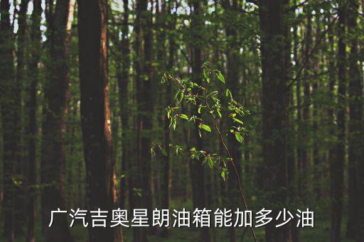 廣汽吉奧星朗油箱能加多少油