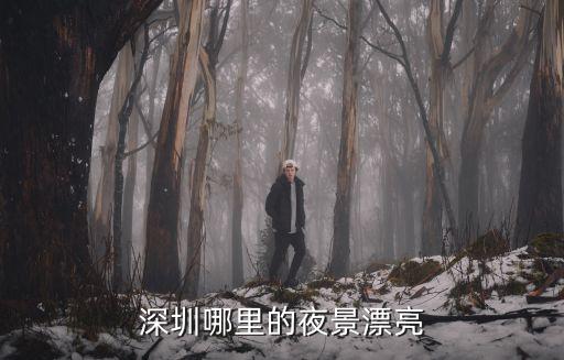 深圳哪里的夜景漂亮
