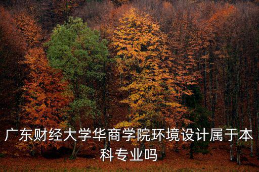 廣東財經大學華商學院環境設計屬于本科專業嗎