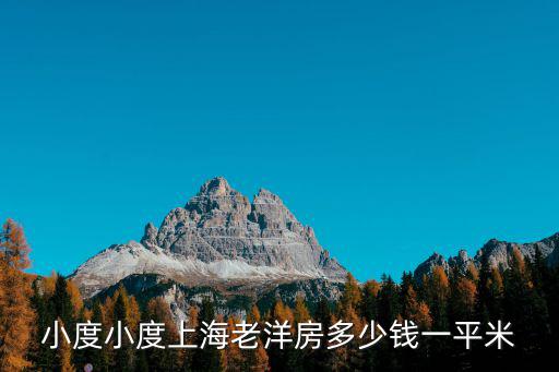 小度小度上海老洋房多少錢一平米