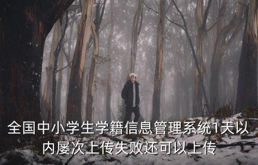 全國中小學(xué)生學(xué)籍信息管理系統(tǒng)1天以內(nèi)屢次上傳失敗還可以上傳