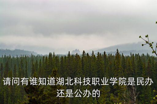 請問有誰知道湖北科技職業學院是民辦還是公辦的