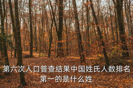 第六次人口普查結(jié)果中國姓氏人數(shù)排名第一的是什么姓