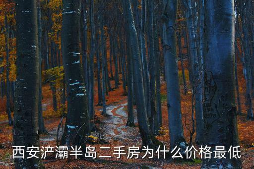 西安浐灞半島二手房為什么價格最低