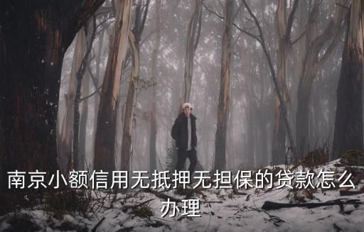 南京小額信用無抵押無擔保的貸款怎么辦理