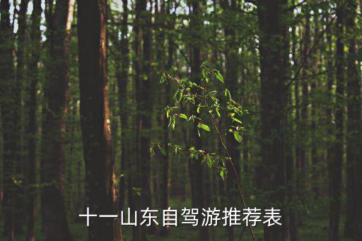 十一自駕游路線，國慶自駕游有什么好的路線