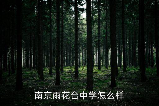 南京雨花臺中學怎么樣