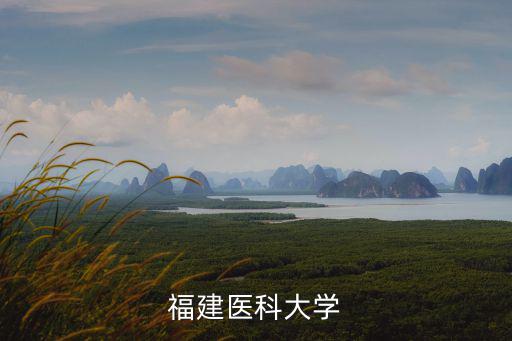 福建醫(yī)科大，福建醫(yī)科大在醫(yī)科大學(xué)