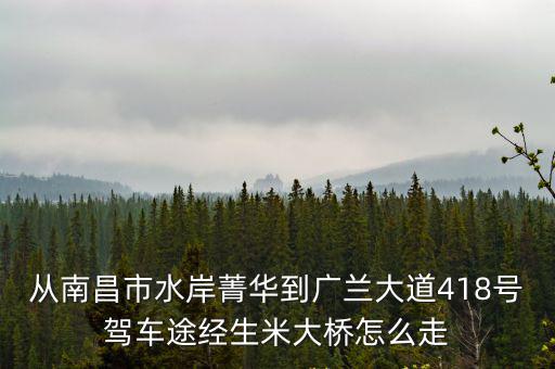 水岸菁華，從南昌市水岸菁華到廣蘭大道418號駕車途經生米大橋怎么走