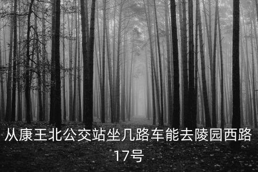 從康王北公交站坐幾路車能去陵園西路17號