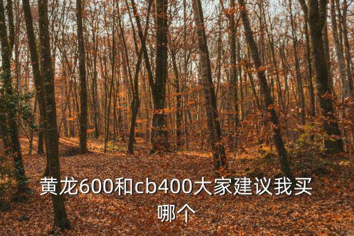 黃龍狩獵場，黃龍吐珠 什么意思