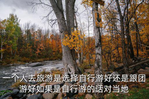 一個人去旅游是選擇自行游好還是跟團游好如果是自行游的話對當地