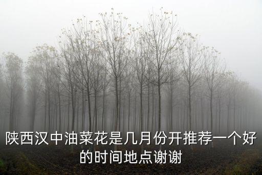 陜西漢中油菜花是幾月份開推薦一個好的時間地點謝謝