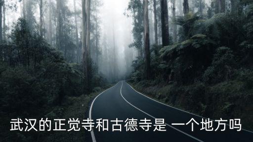 武漢的正覺(jué)寺和古德寺是 一個(gè)地方嗎