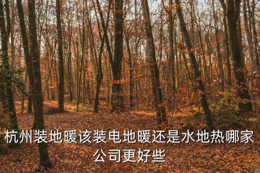 杭州裝地暖該裝電地暖還是水地熱哪家公司更好些