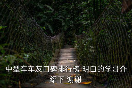 中型車(chē)車(chē)友口碑排行榜 明白的學(xué)哥介紹下 謝謝
