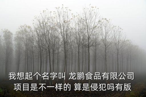 我想起個名字叫 龍鵬食品有限公司 項目是不一樣的 算是侵犯嗎有版