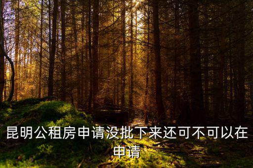 公租房申請網站，公租房可以在網上申請嗎