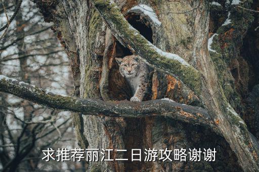 二日游，去橫店影視城最佳的兩日游旅游行程