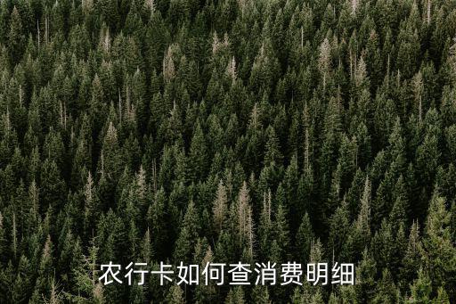 查詢明細(xì)，農(nóng)行信用卡交易明細(xì)怎么查詢