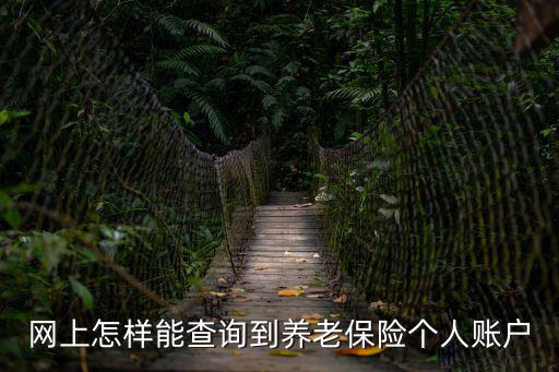 網(wǎng)上怎樣能查詢到養(yǎng)老保險個人賬戶