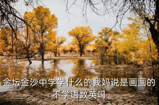 金壇金沙中學學什么的我媽說是畫畫的不學語數英嗎