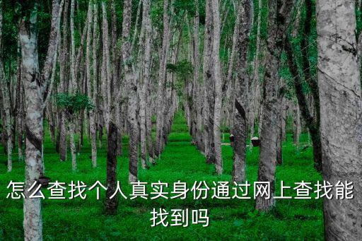 怎么查找個人真實身份通過網上查找能找到嗎