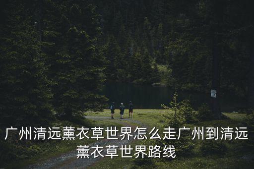 清遠薰衣草世界，清遠熏衣草世界在哪里門票要多少錢