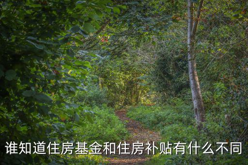 誰知道住房基金和住房補貼有什么不同