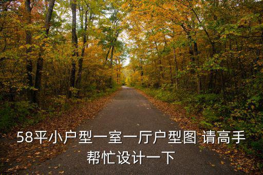 58平小戶型一室一廳戶型圖 請高手幫忙設(shè)計(jì)一下