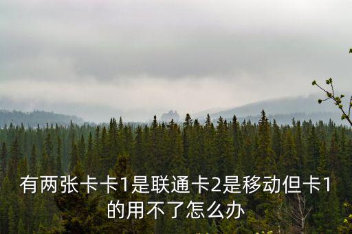 有兩張卡卡1是聯(lián)通卡2是移動但卡1的用不了怎么辦