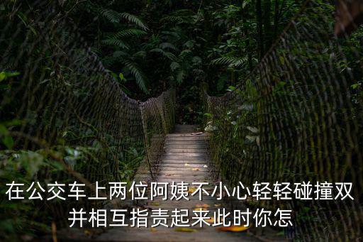 在公交車上兩位阿姨不小心輕輕碰撞雙并相互指責起來此時你怎