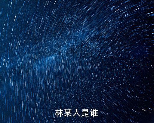 林某某，我去年轉讓了一家公司給林某某他不但不給完轉讓款還被惡意指控