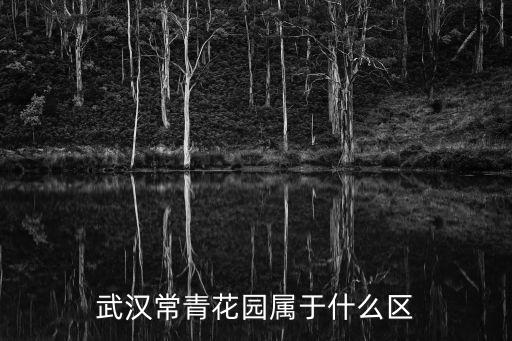 武漢常青花園屬于什么區