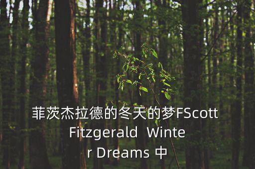 菲茨杰拉德的冬天的夢FScott Fitzgerald  Winter Dreams 中