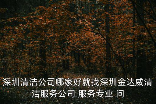 深圳清潔公司哪家好就找深圳金達威清潔服務公司 服務專業 問