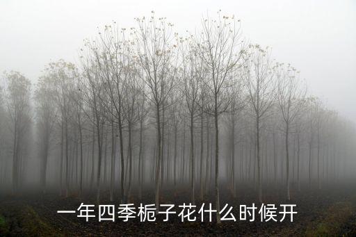 一年四季梔子花什么時候開