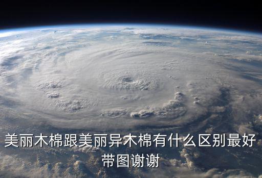 美麗木棉跟美麗異木棉有什么區(qū)別最好帶圖謝謝