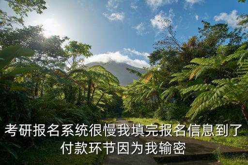 考研報名系統很慢我填完報名信息到了付款環節因為我輸密