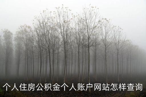 住房公積金查詢個人賬戶查詢，個人住房公積金個人賬戶網站怎樣查詢