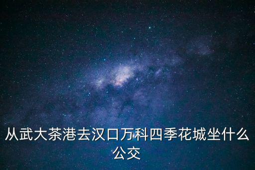 從武大茶港去漢口萬(wàn)科四季花城坐什么公交